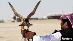 QATAR-HUNTING/