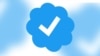 Blue tick