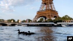 Kanna naje nan flev Seine nan tou pre Tou Eiffel la pandan Jezolenpik d Ete yo nan vil Paris, 29 Jiye, 2024. 