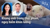 Kháng sinh trong thực phẩm, nguy hiểm khôn lường