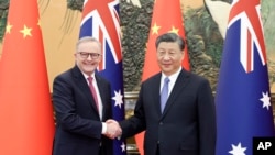 Thủ tướng Australia Anthony Albanese và Chủ tịch Trung Quốc Tập Cận Bình, Bắc Kinh, ngày 6/11/2023. (Ding Haitao/Xinhua via AP)