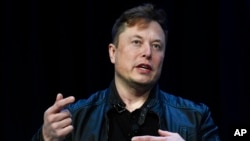 Tổng Giám đốc Tesla Elon Musk. 