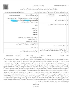 ایف آئی آر میں خاتون نے نا معلوم افراد پر موبائل فون، سونے کے ٹاپس چھیننے اور زیادتی کا الزام عائد کیا ہے۔