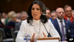 Foto Achiv: Tulsi Gabbard, ke Prezidan Donald Trump chwazi kom Direktris Ranseyman Nasyonal pandan yon odisyon devan Sena a, 30 Janvye 2025. 