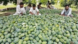 پاکستان ٹیکسٹائل کے علاوہ چاول، پھل، سرجیکل آلات، چمڑے سے بنی ہوئی اشیاء، فرنیچر، اسپورٹس کا سامان اور بڑے پیمانے پر سمندری غذائی اشیاء بھی دنیا کے دیگر ممالک کو بیچتا ہے۔ (فائل فوٹو)