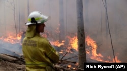 A firefighter keeps an eye on a controlled fire as they work at building a containment line at a wildfire near Bodalla, Australia, Sunday, Jan. 12, 2020.