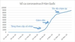 (Đồ thị trong bài do Vũ Quí Hạo Nhiên vẽ, dựa trên số liệu từ data.gouv.fr và Johns Hopkins University)