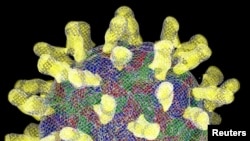 عام سردی کے وائرس rhinovirus 16 کا کمپیوٹر سے بنایا گیا مصنوعی ماڈل