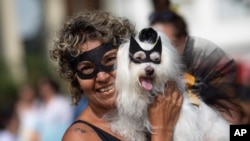 Brazil Carnival Dogs