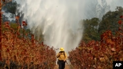 Một góc trong cơn bão lửa đang hoành hành California