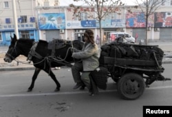 چین کے کٰی علاقوں میں آج بھی باربرداری کے لیے گدھے استعمال کیے جاتے ہیں۔