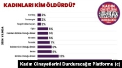 Kadın cinayetleri verileri