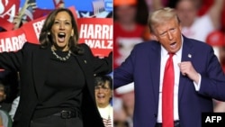 Người dân Mỹ đi bỏ phiếu trong ngày 5/11 để bầu chọn cho bà Kamala Harris (ảnh trái), phó tổng thống và ứng viên của đảng Dân chủ), hoặc Donald Trump (ảnh phải), ứng cử viên tổng thống của đảng Cộng hòa.