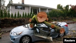 California ve Washington eyaletleri fırtınanın yol açtığı hasarı sarmaya ve elektrik kesintilerini gidermeye devam ederken, meteoroloji uzmanları ABD genelinde yeni bir kötü hava dalgasının Şükran Günü tatili öncesinde seyahatleri zorlaştırabileceği uyarısında bulundu.