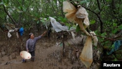 Một phụ nữ dọn rác nhựa gần một bãi biển ở tỉnh Thanh Hóa, tháng 6/2018.